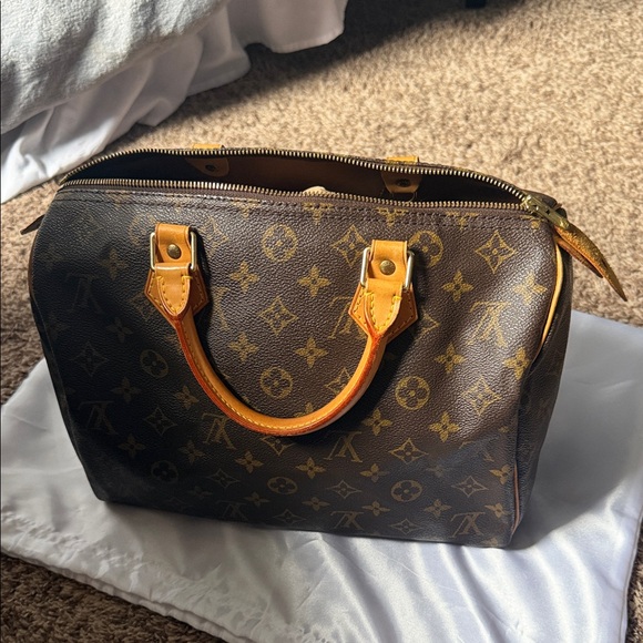 Louis Vuitton Handbags - Louis Vuitton Monogram Speedy Handbag -1